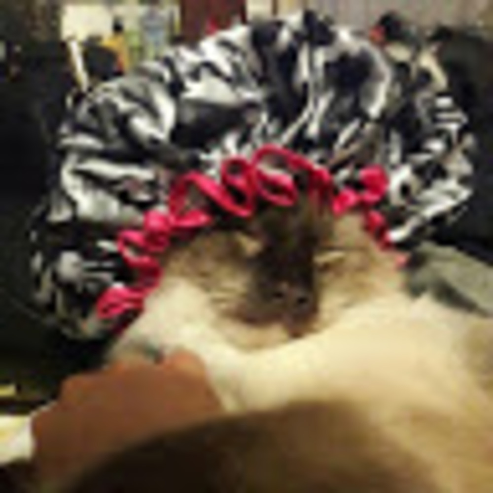 Meet your Posher, Michelle